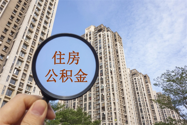 社保断交了6个月可以补吗-茂名公积金代办平台